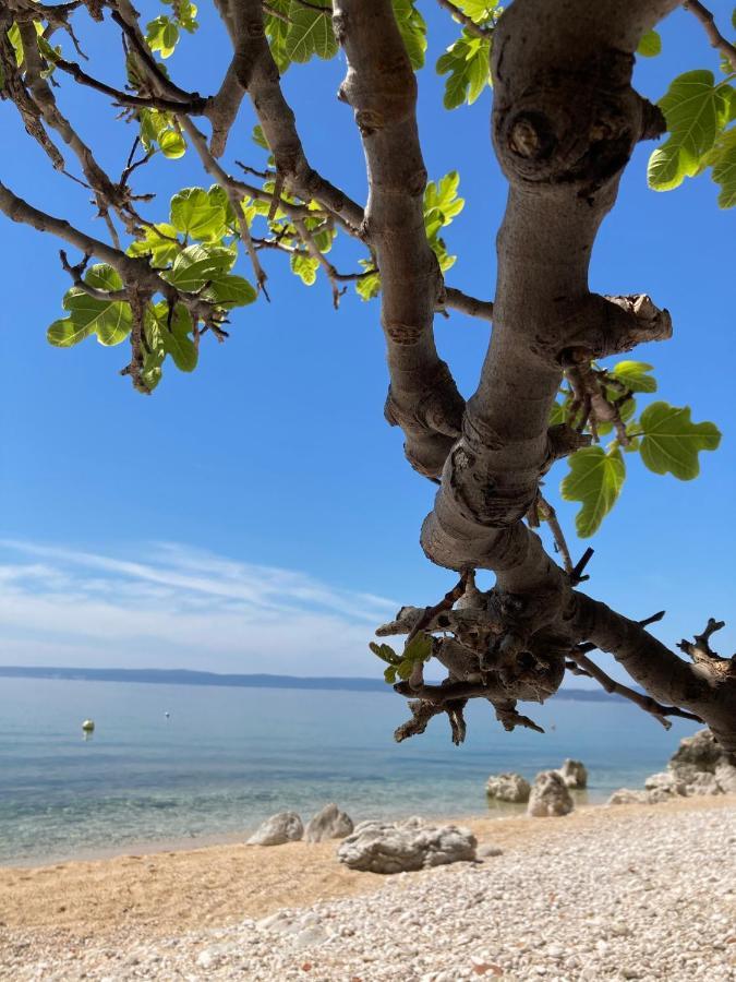 Kuca Za Odmor Baya Villa Stara Baska Bagian luar foto